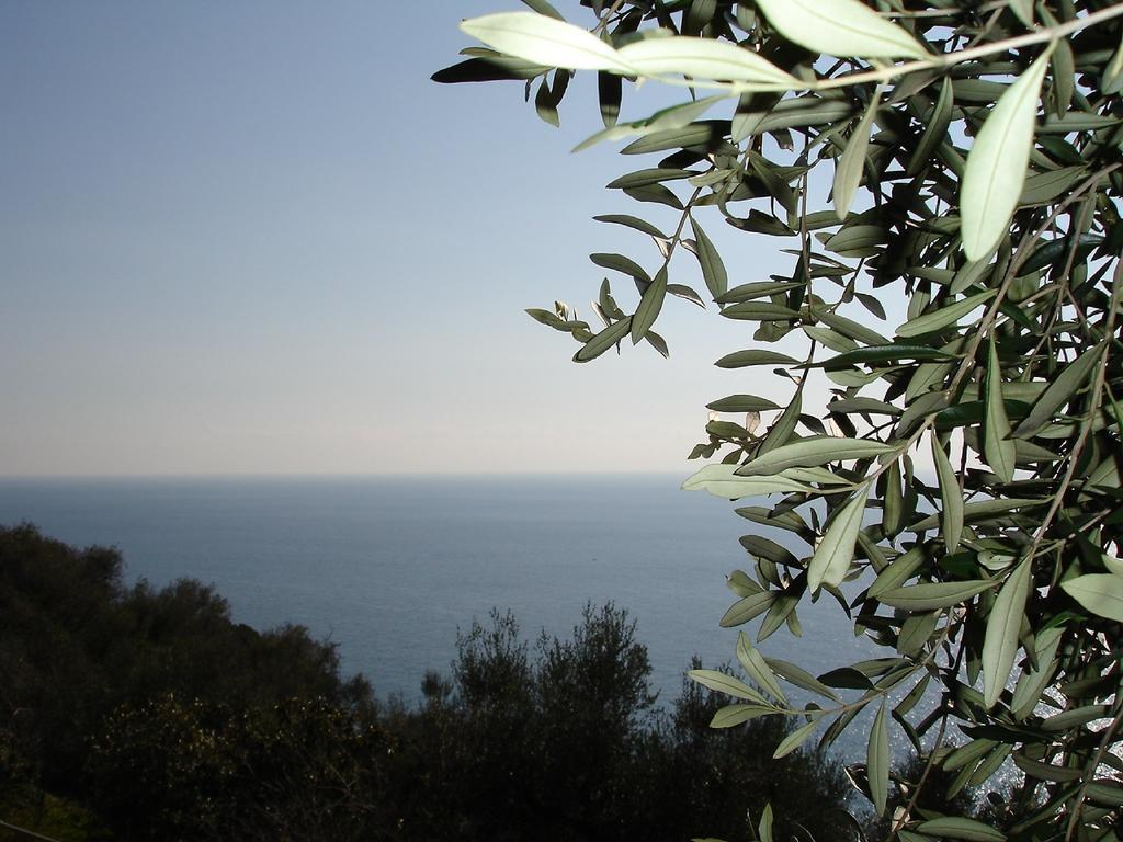 Villa Imperia Exteriör bild