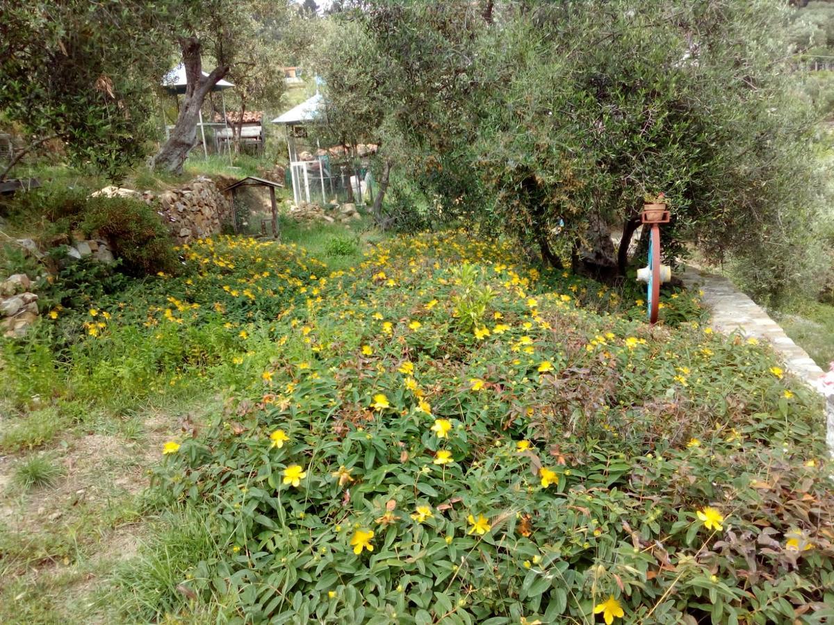 Villa Imperia Exteriör bild